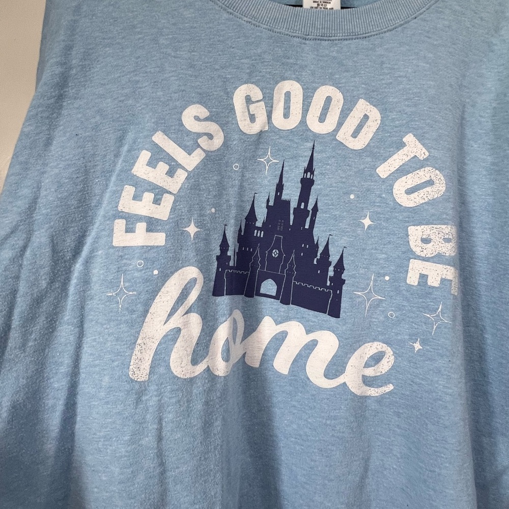 Disney Parks 1X sweatshirt light blue